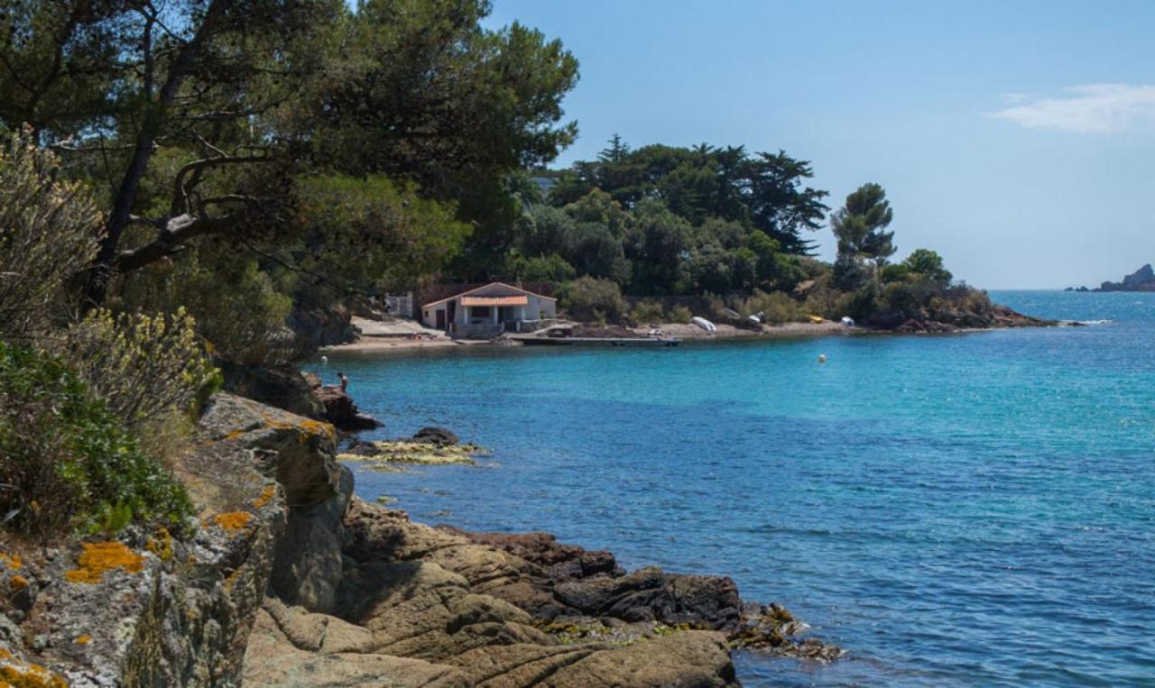 Agay Le Pti Bonheur 60M2 Rez De Jardin, En Bord De Mer Saint-Raphaël Kültér fotó